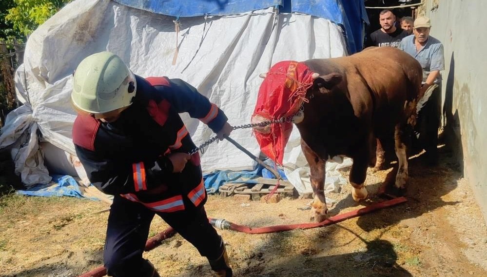 malatyada ahirda yangin panigi fbvcGQYS