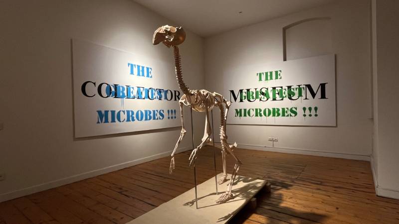 mesrutiyet 76 sergisi sanatseverlerle bulusmaya devam ediyor PLG1xXae