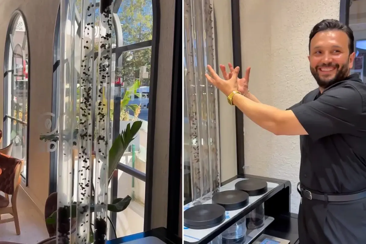 havada ucan kahve yunus cakmaktan kahveye gorsel solenli dokunus tgNLvGpt