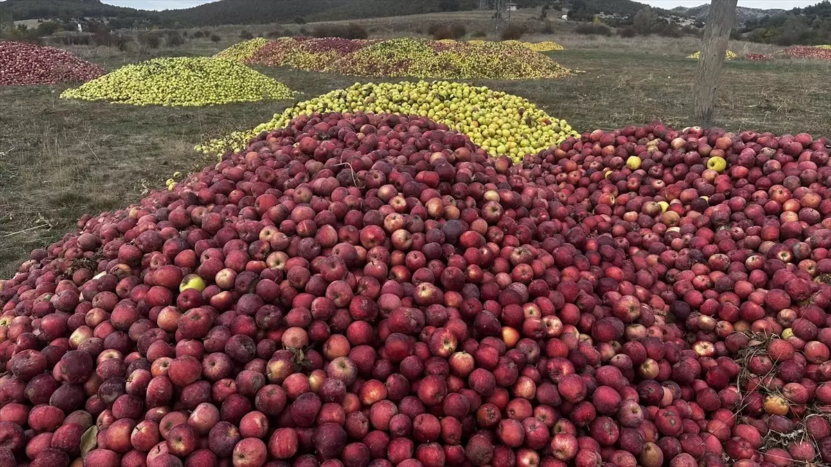 ispartada kuraklik elma hasadini olumsuz etkiledi IEmlU3F4.jpg