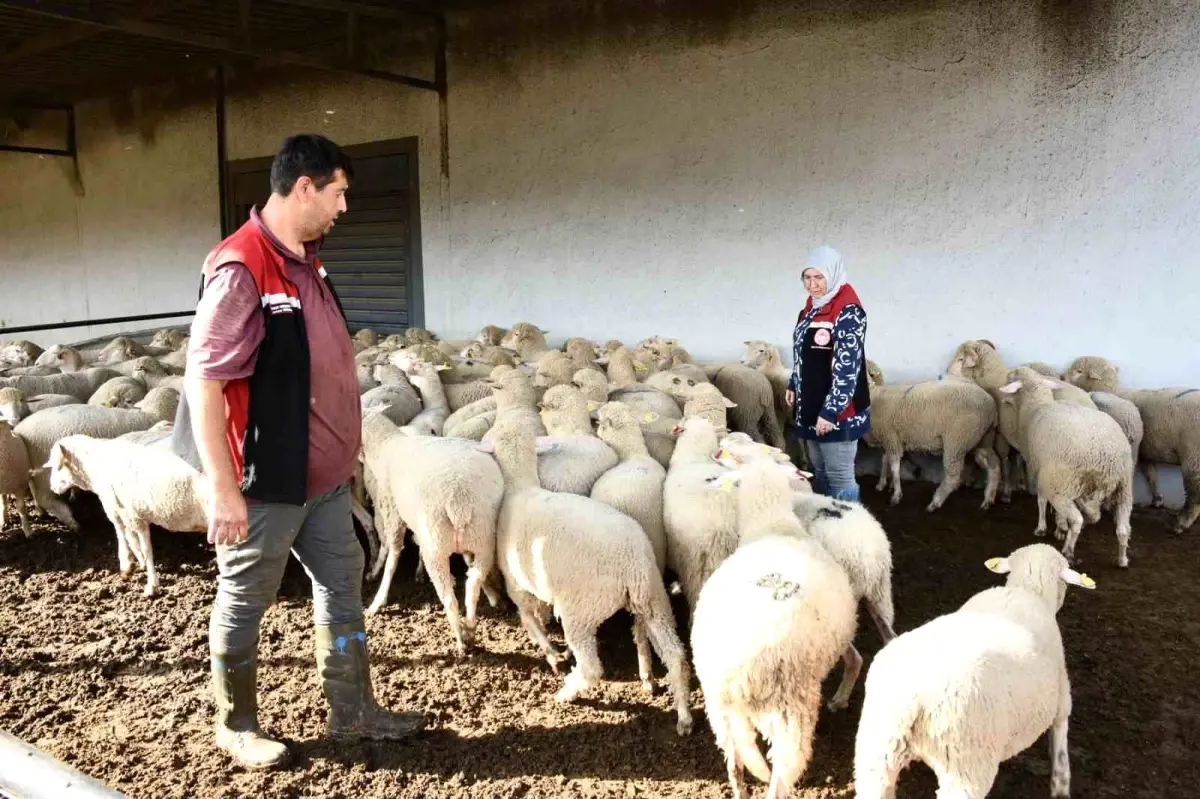 aliagada damizlik koyun uretim merkezi projesi tamamlandi Z512jruU.jpg