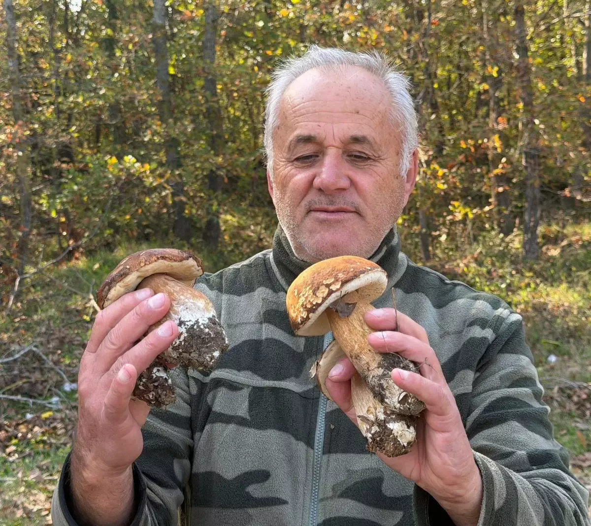 istranca ormanlarinda mantar populasyonu kuraklik nedeniyle dusuyor KfzHTGN7.jpg