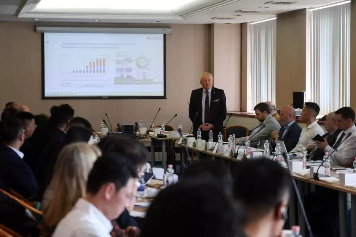 macaristan ile cin batarya geri donusumunde isbirligi yapiyor yKkpOvRW.jpg