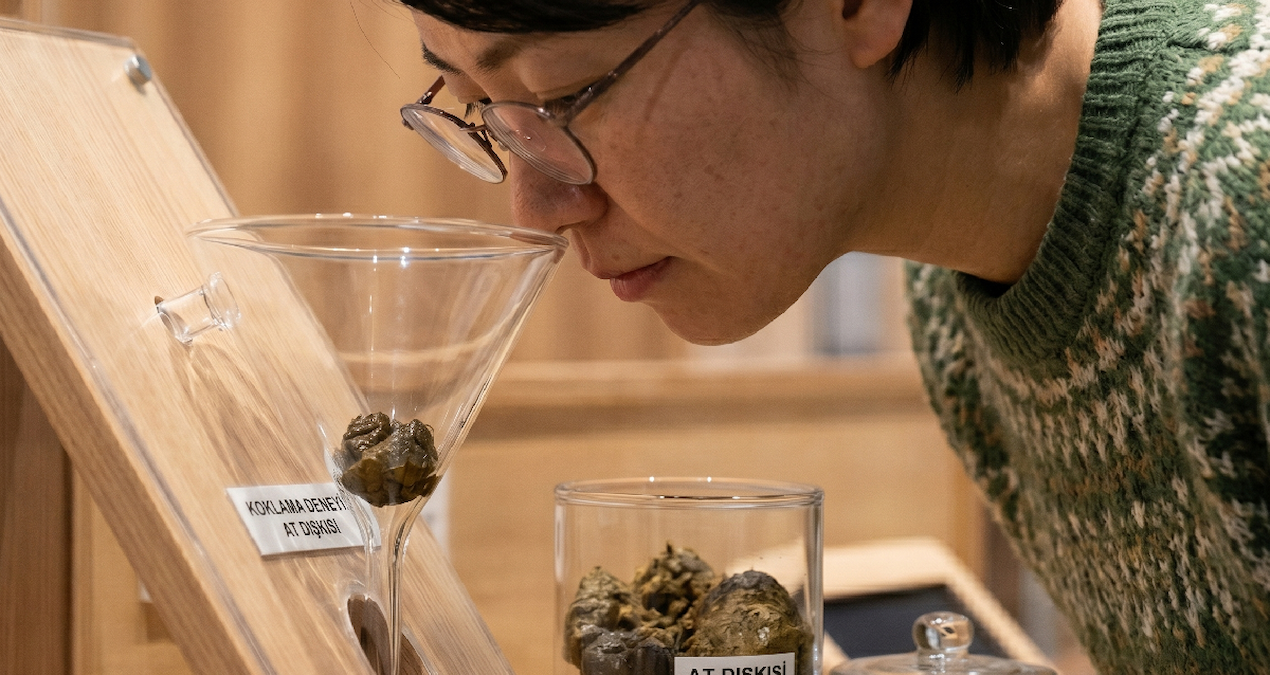 Japonya’daki Müze Ziyaretçilerine Duyusal Bir Deneyim Sunarak Hayvanlarla Bağ Kurma Fırsatı Veriyor