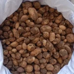 Bingolde izinsiz salep toplayiciligi ve biyokacakciliga milyonluk ceza UD9f4D2S